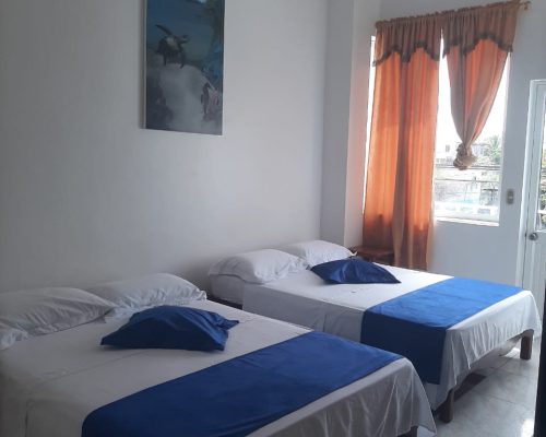 484545875_629120263080690_8109447274382437800_n